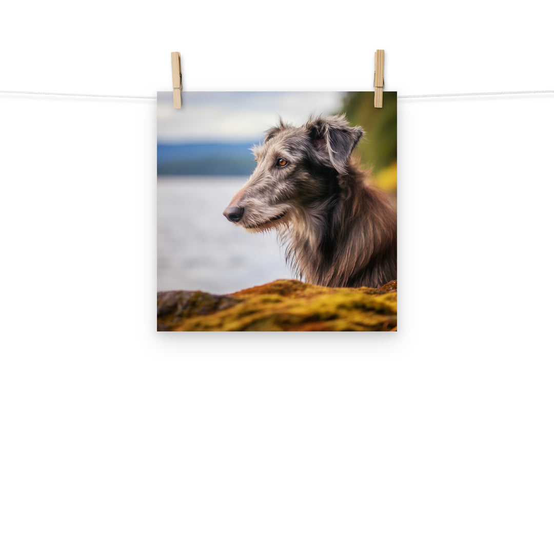 Scottish Deerhound Photo paper poster - PosterfyAI.com