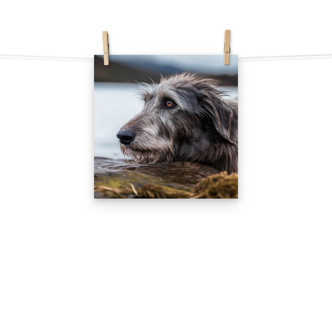 Scottish Deerhound Photo paper poster - PosterfyAI.com