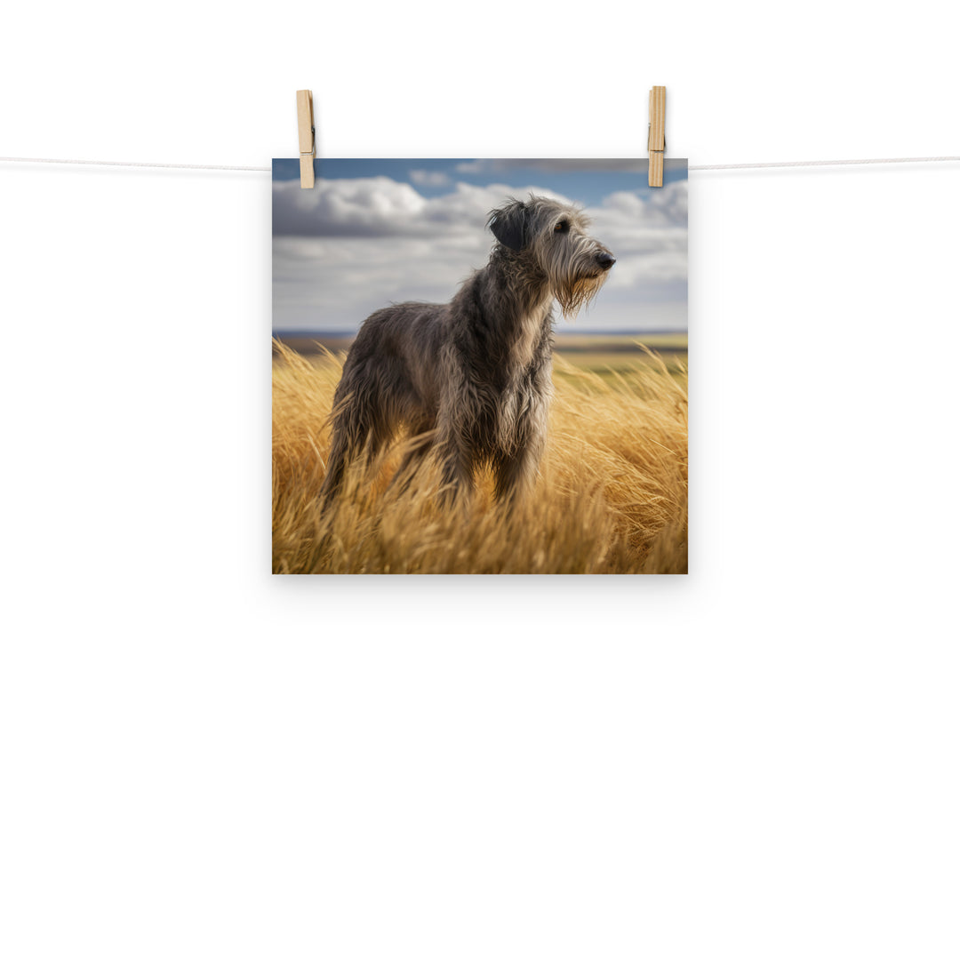 Scottish Deerhound Photo paper poster - PosterfyAI.com