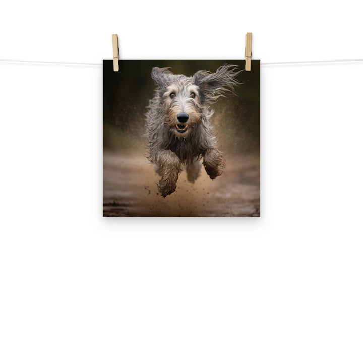 Scottish Deerhound Photo paper poster - PosterfyAI.com