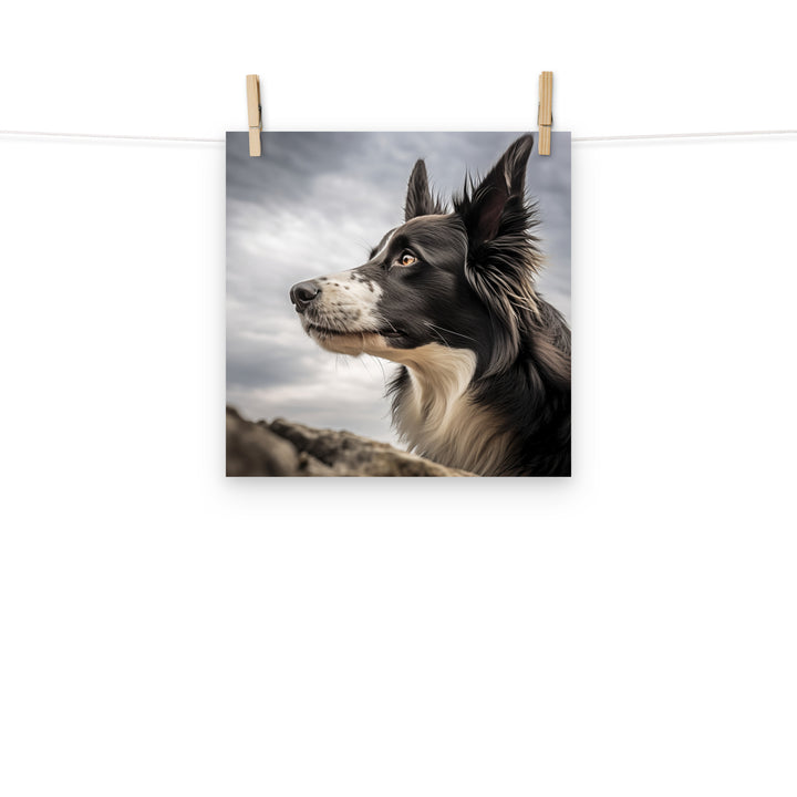 Border Collie Photo paper poster - PosterfyAI.com