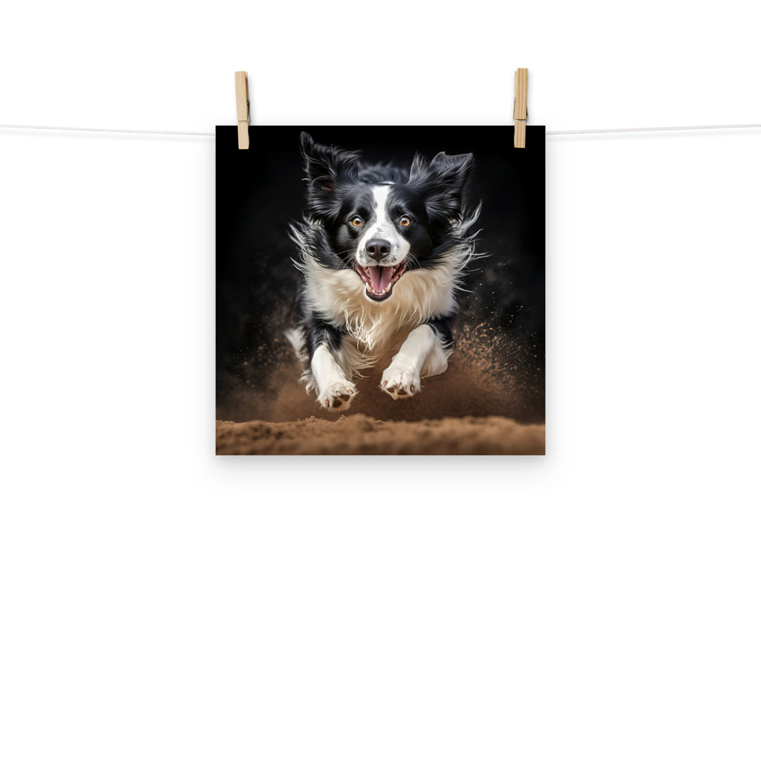 Border Collie Photo paper poster - PosterfyAI.com