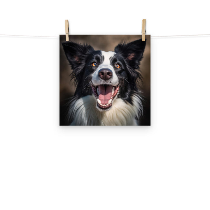 Border Collie Photo paper poster - PosterfyAI.com