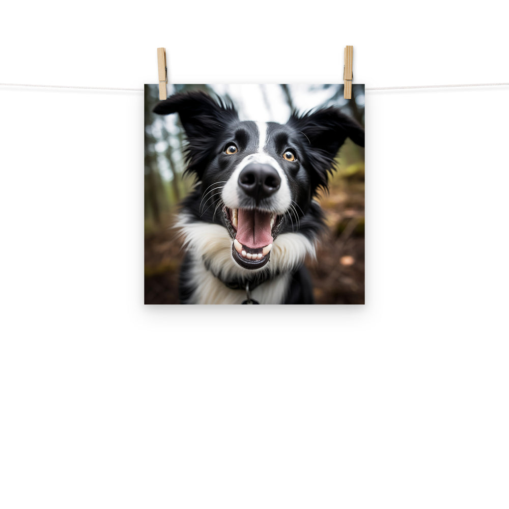 Border Collie Photo paper poster - PosterfyAI.com