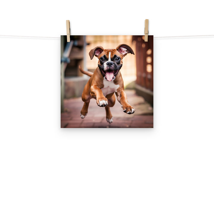 Boxer Photo paper poster - PosterfyAI.com