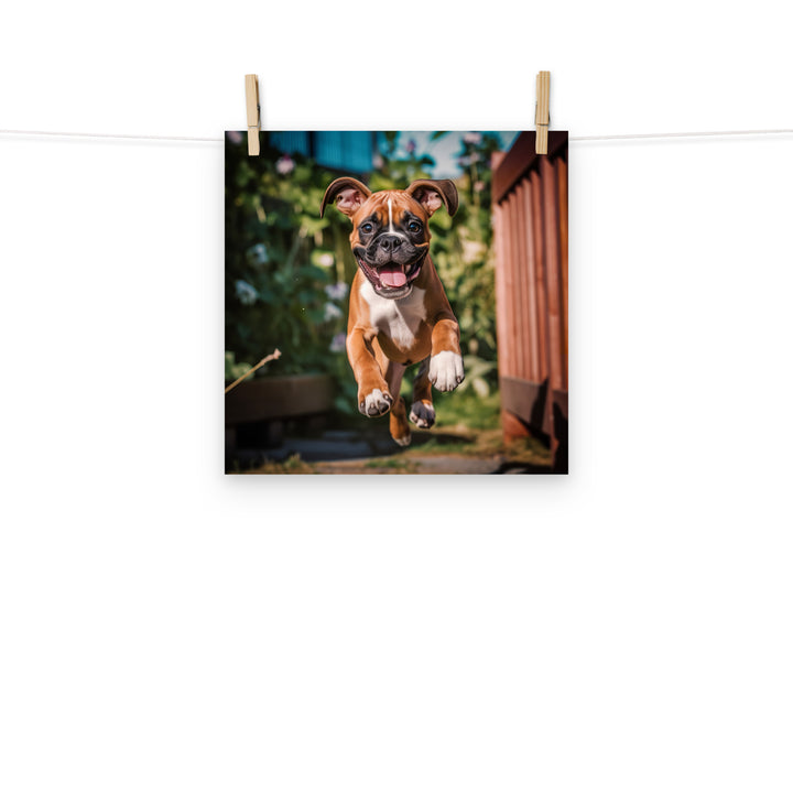 Boxer Photo paper poster - PosterfyAI.com