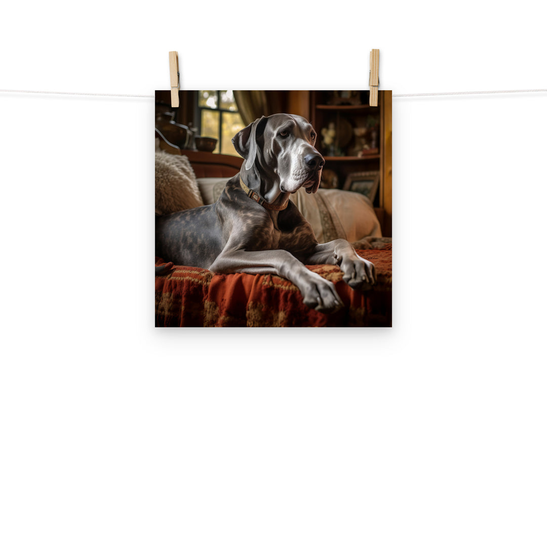 Great Dane Photo paper poster - PosterfyAI.com