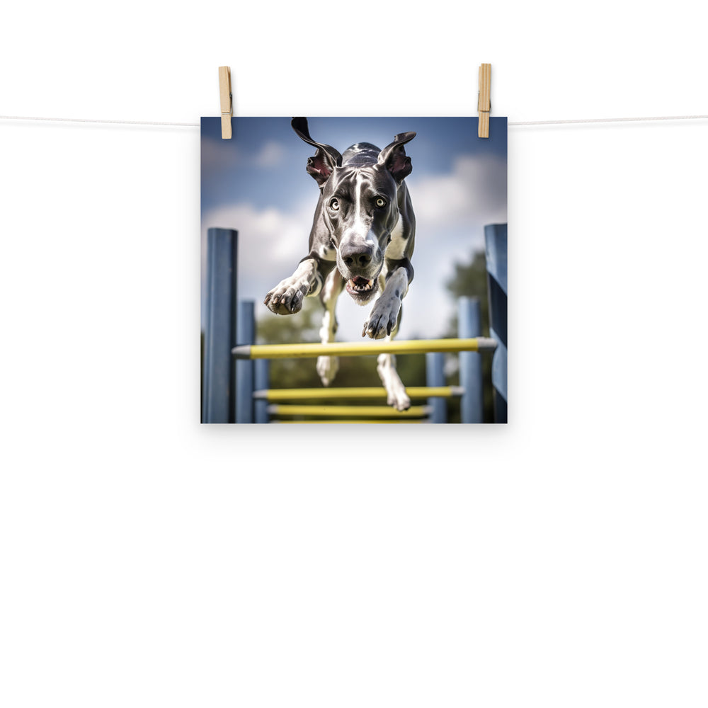 Great Dane Photo paper poster - PosterfyAI.com