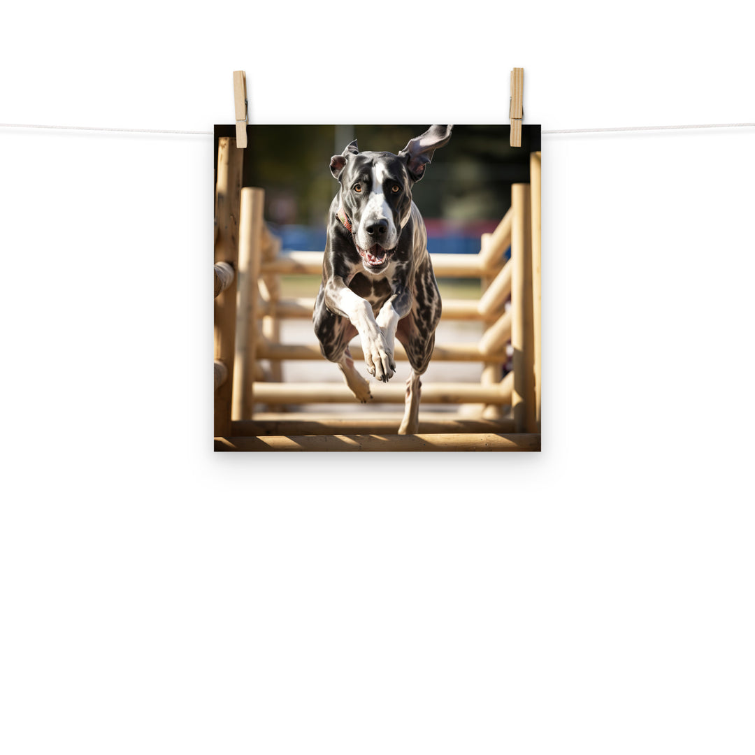 Great Dane Photo paper poster - PosterfyAI.com