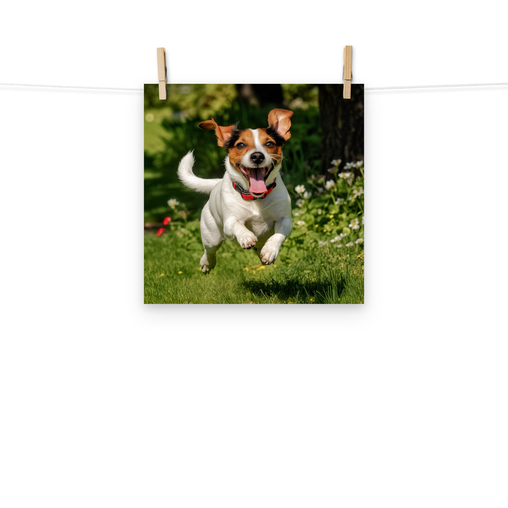 Jack Russell Terrier Photo paper poster - PosterfyAI.com