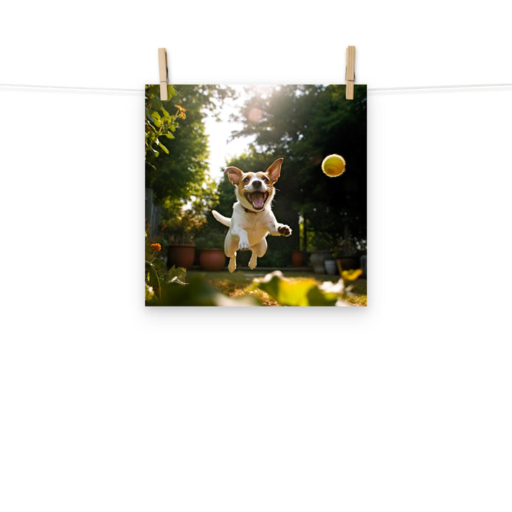 Jack Russell Terrier Photo paper poster - PosterfyAI.com