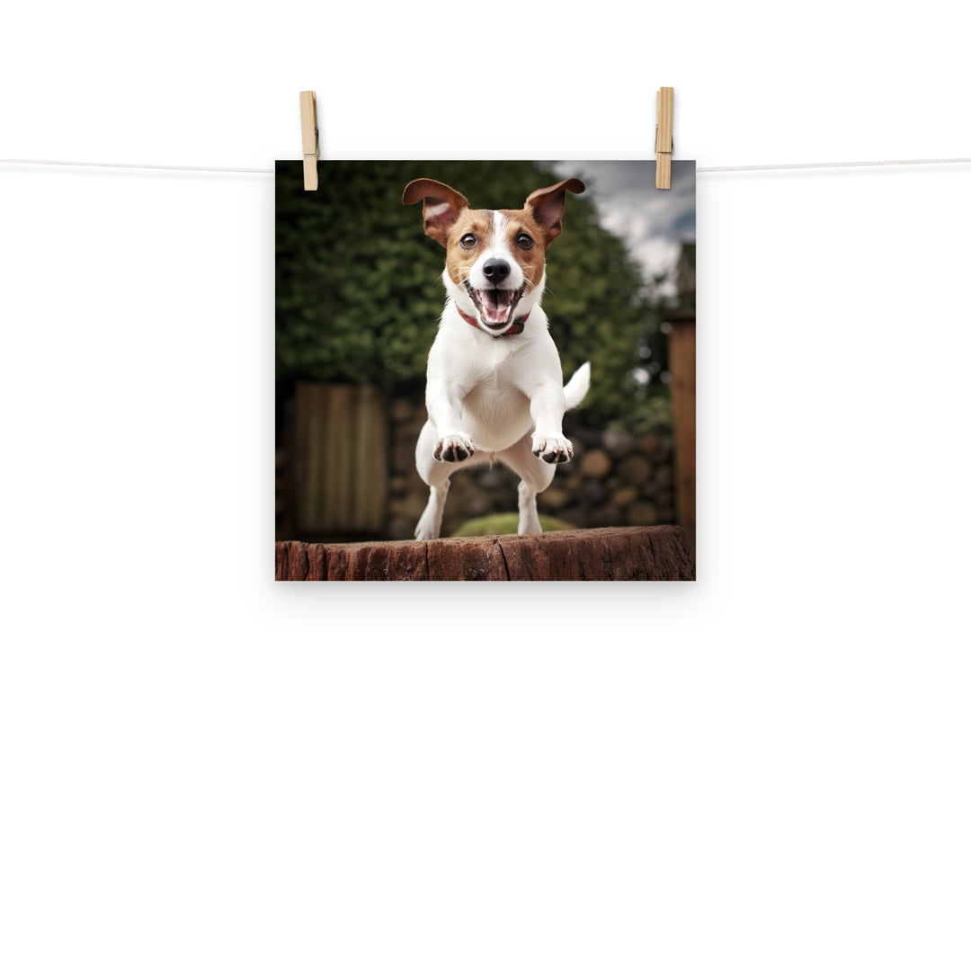 Jack Russell Terrier Photo paper poster - PosterfyAI.com