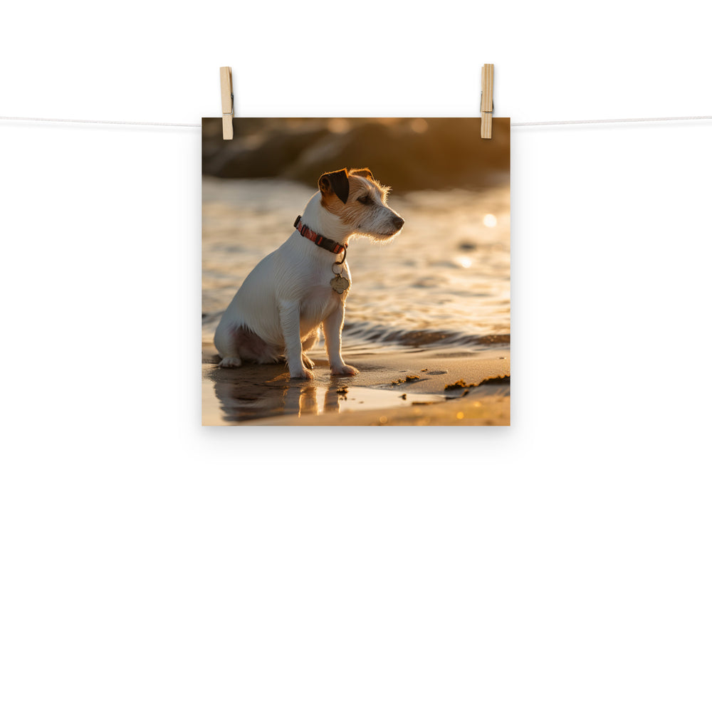 Jack Russell Terrier Photo paper poster - PosterfyAI.com