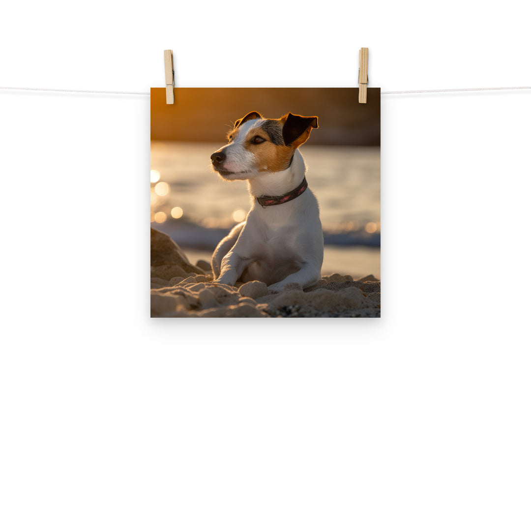 Jack Russell Terrier Photo paper poster - PosterfyAI.com