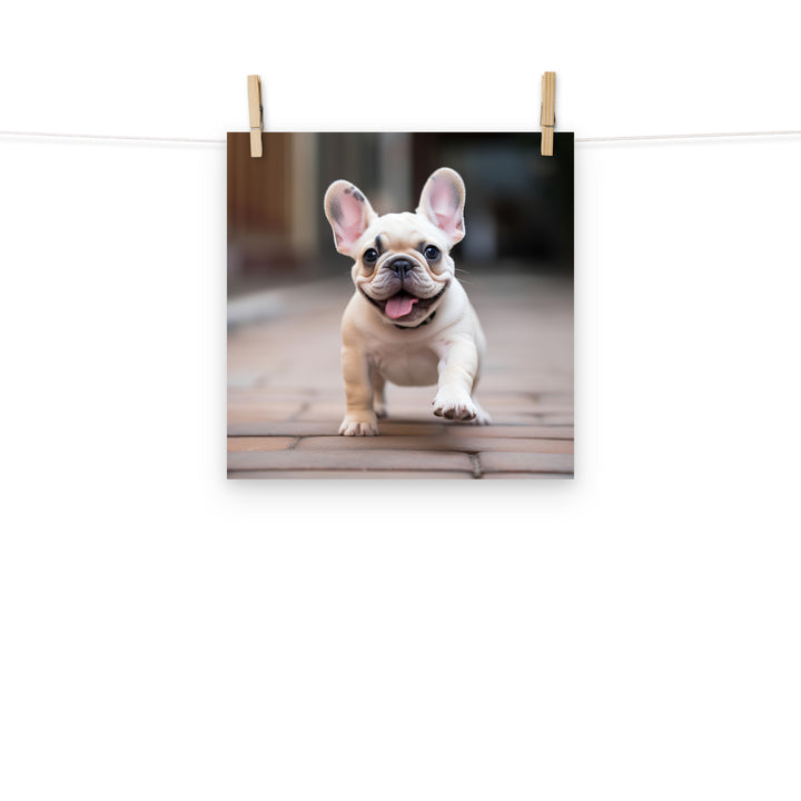 French Bulldog Photo paper poster - PosterfyAI.com