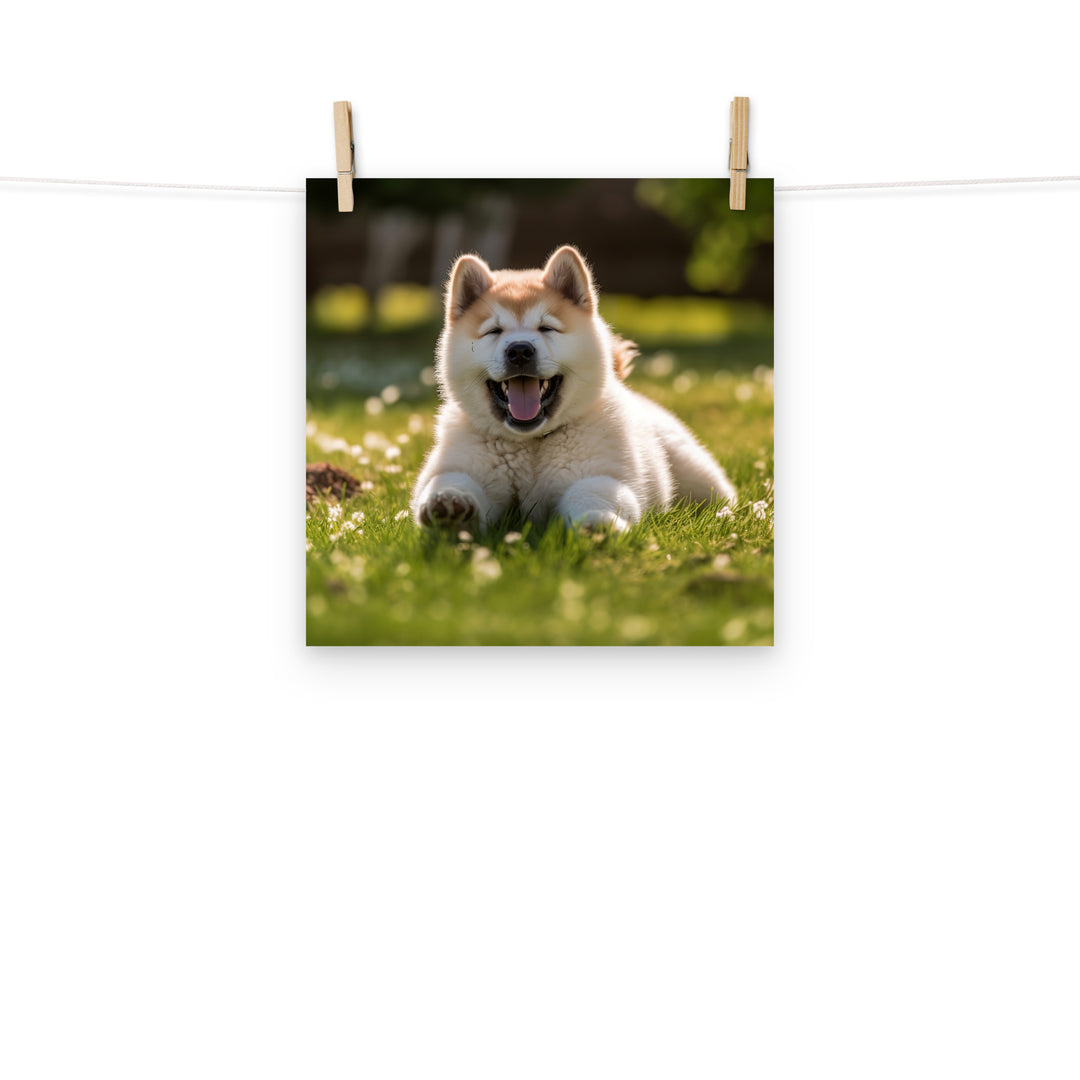 Akita Photo paper poster - PosterfyAI.com