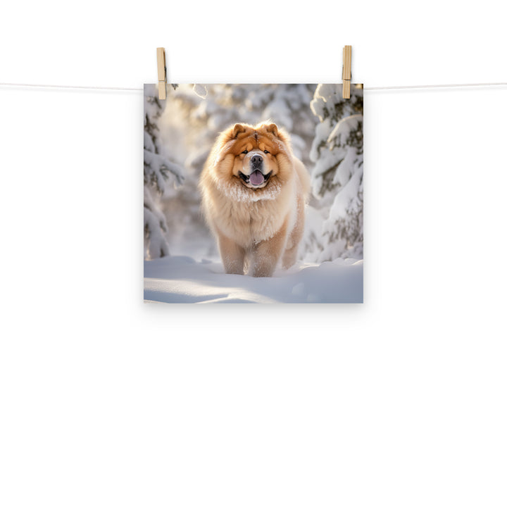 Chow Chow Photo paper poster - PosterfyAI.com