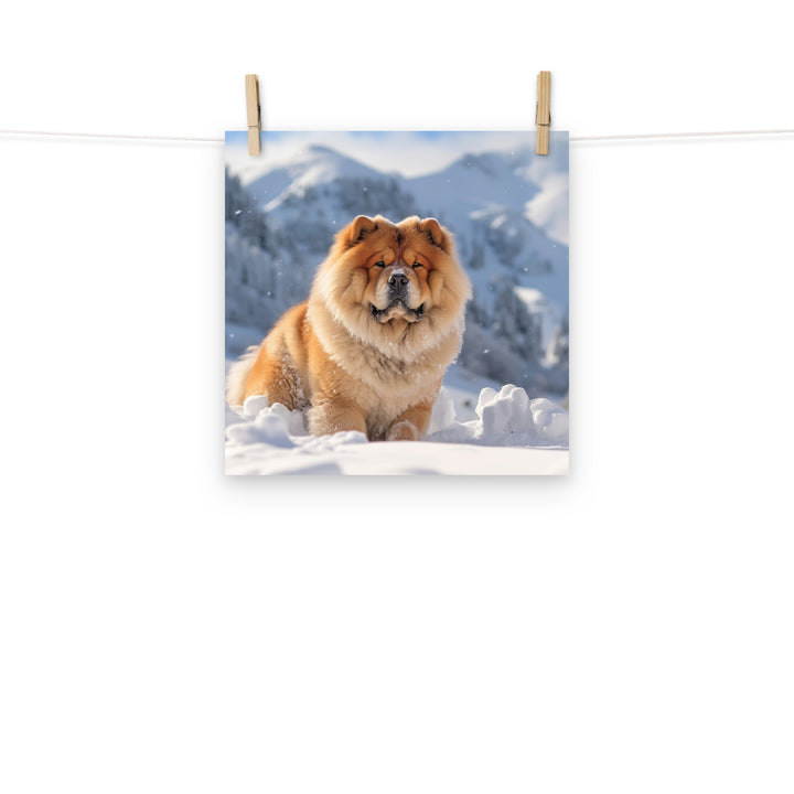 Chow Chow Photo paper poster - PosterfyAI.com