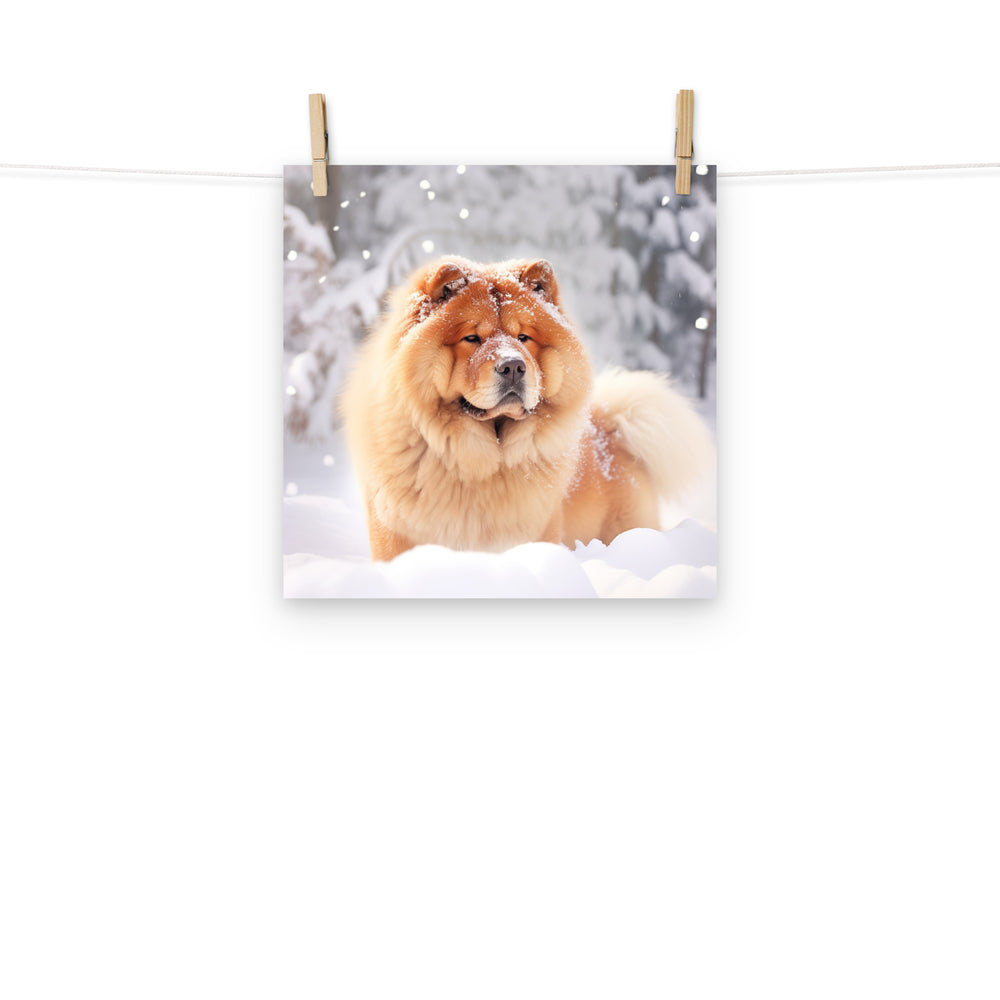 Chow Chow Photo paper poster - PosterfyAI.com