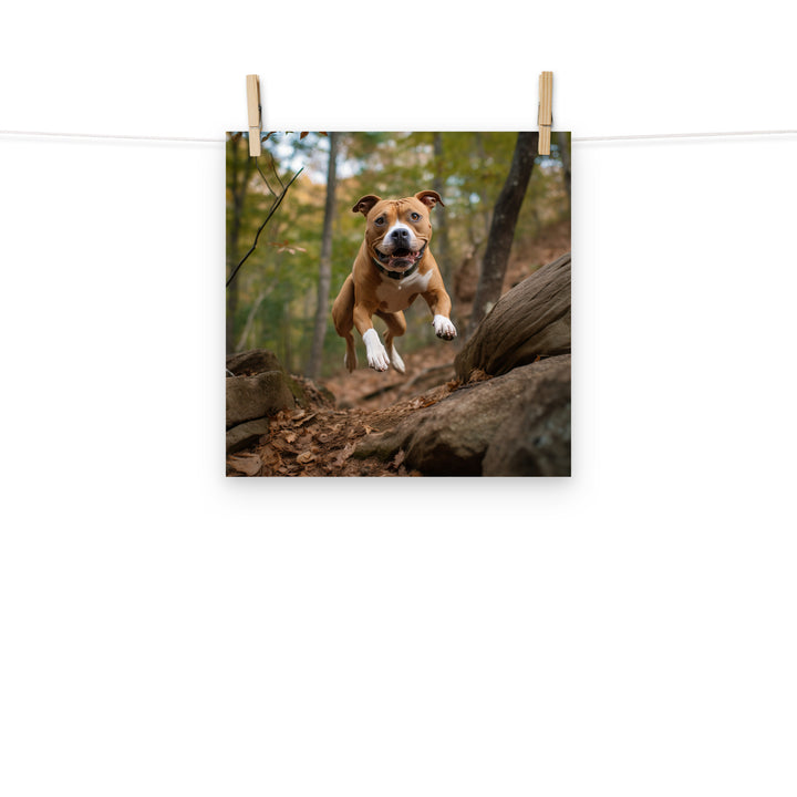 American Staffordshire Terrier Photo paper poster - PosterfyAI.com