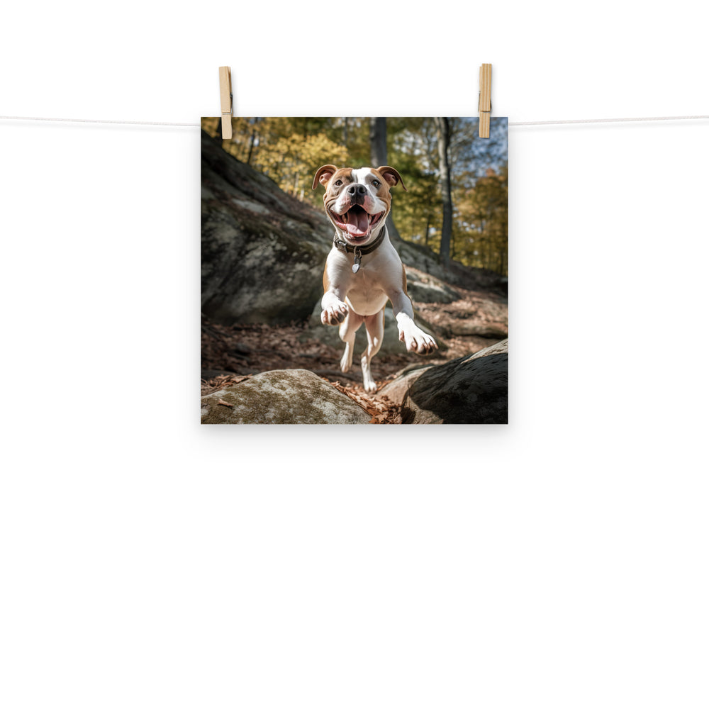 American Staffordshire Terrier Photo paper poster - PosterfyAI.com