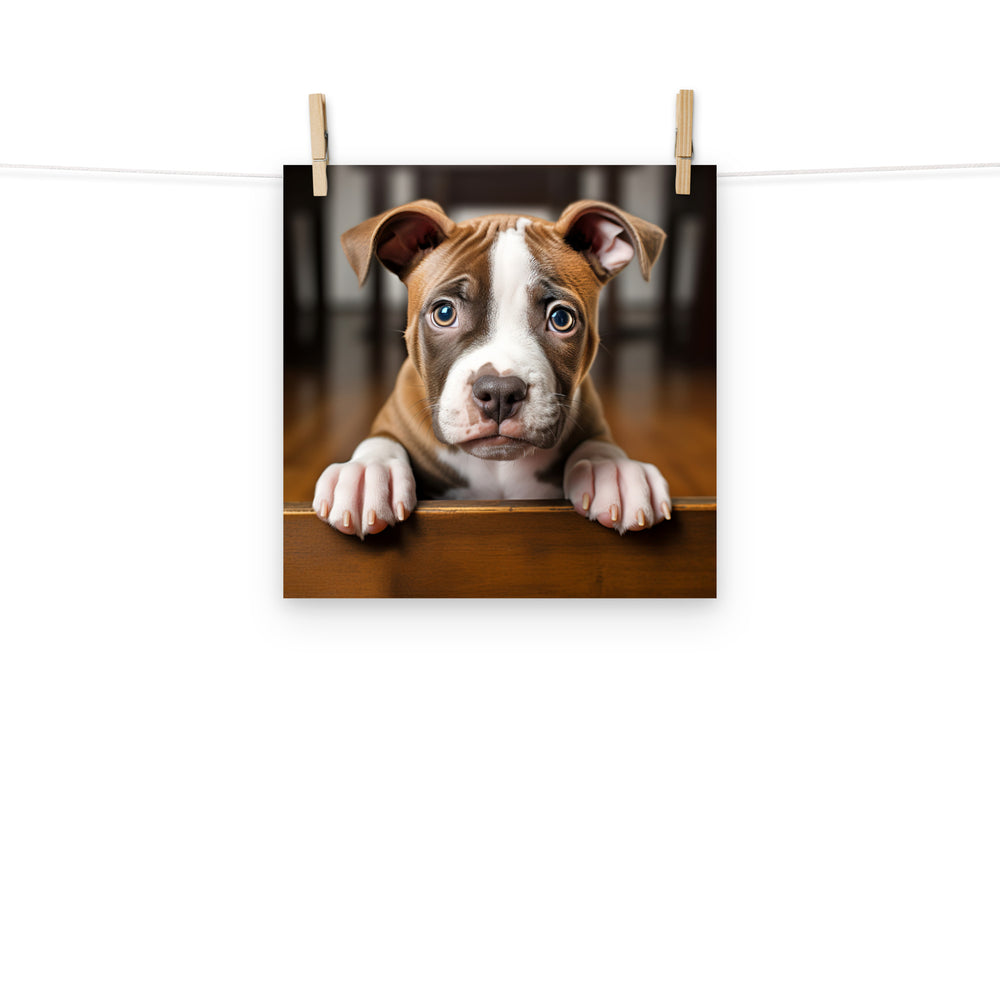 American Staffordshire Terrier Photo paper poster - PosterfyAI.com