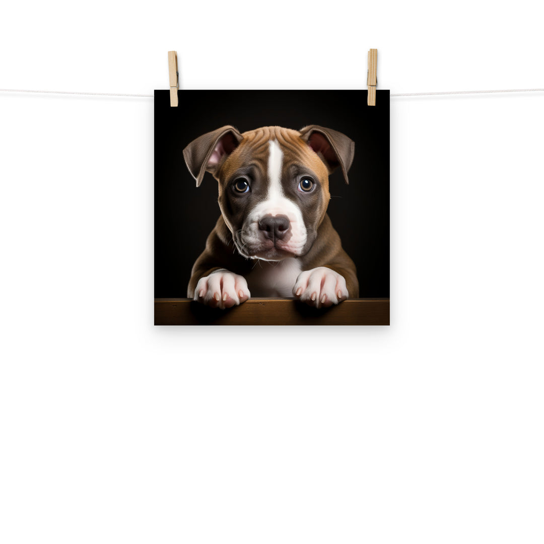 American Staffordshire Terrier Photo paper poster - PosterfyAI.com