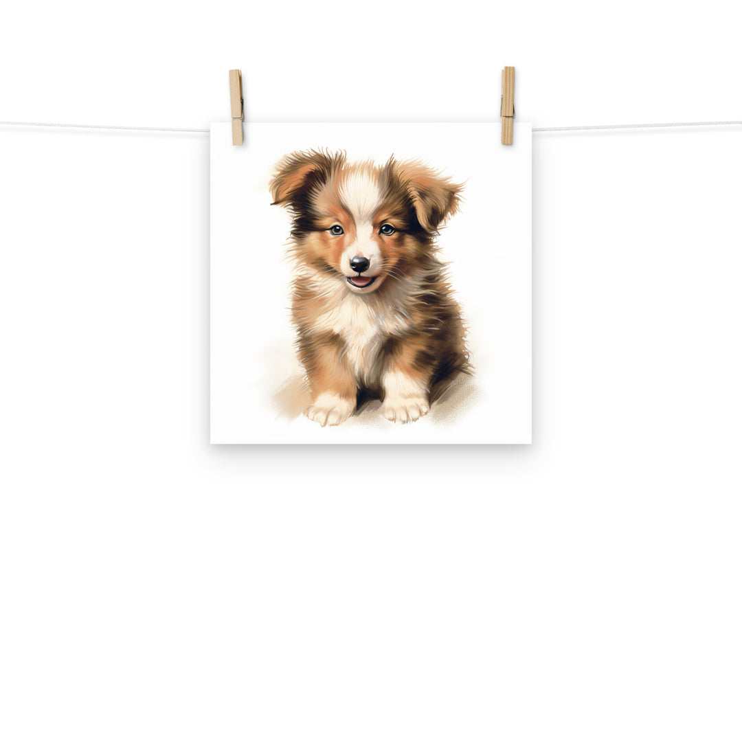 Shetland Sheepdog Photo paper poster - PosterfyAI.com