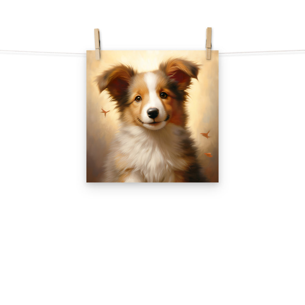 Shetland Sheepdog Photo paper poster - PosterfyAI.com