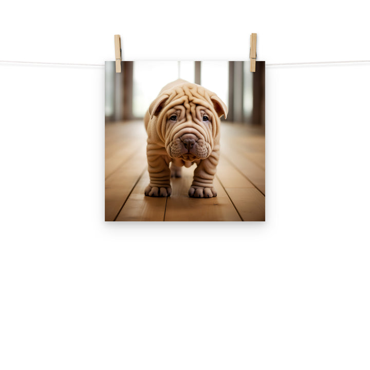 Shar Pei Photo paper poster - PosterfyAI.com