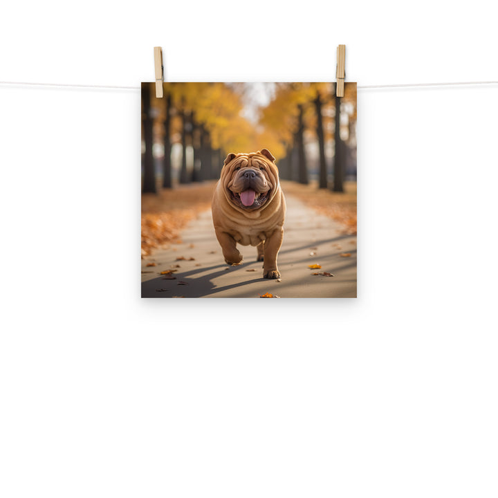 Shar Pei Photo paper poster - PosterfyAI.com