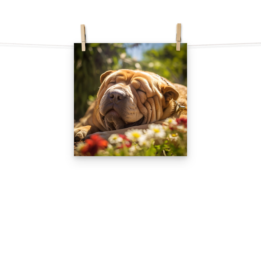 Shar Pei Photo paper poster - PosterfyAI.com