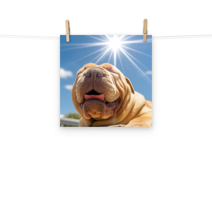 Shar Pei Photo paper poster - PosterfyAI.com