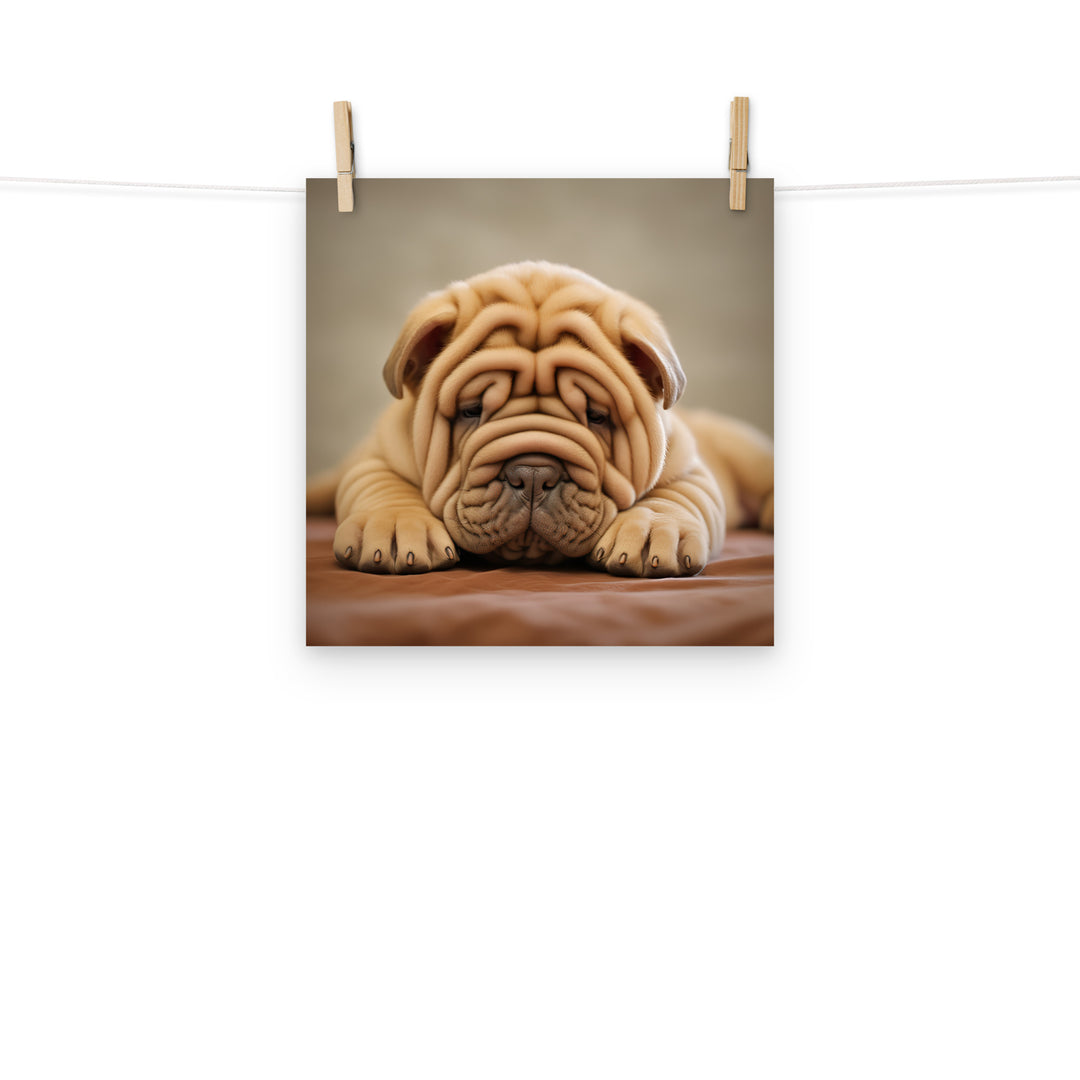 Shar Pei Photo paper poster - PosterfyAI.com