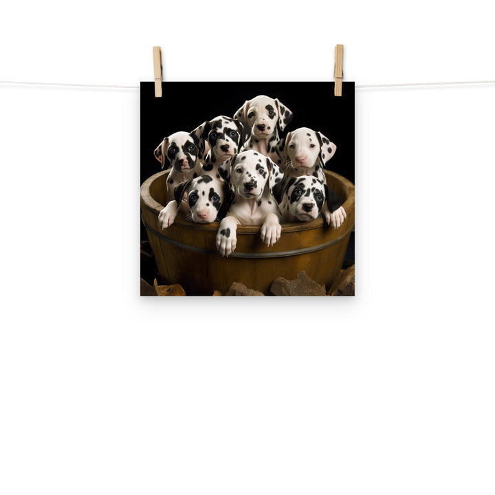 Dalmatian Photo paper poster - PosterfyAI.com