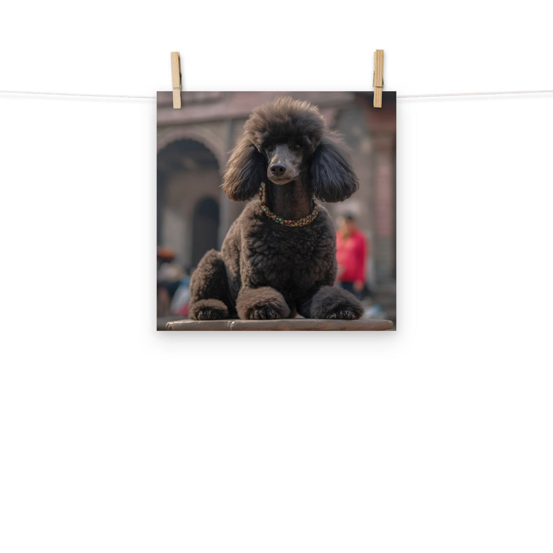 Poodle Photo paper poster - PosterfyAI.com