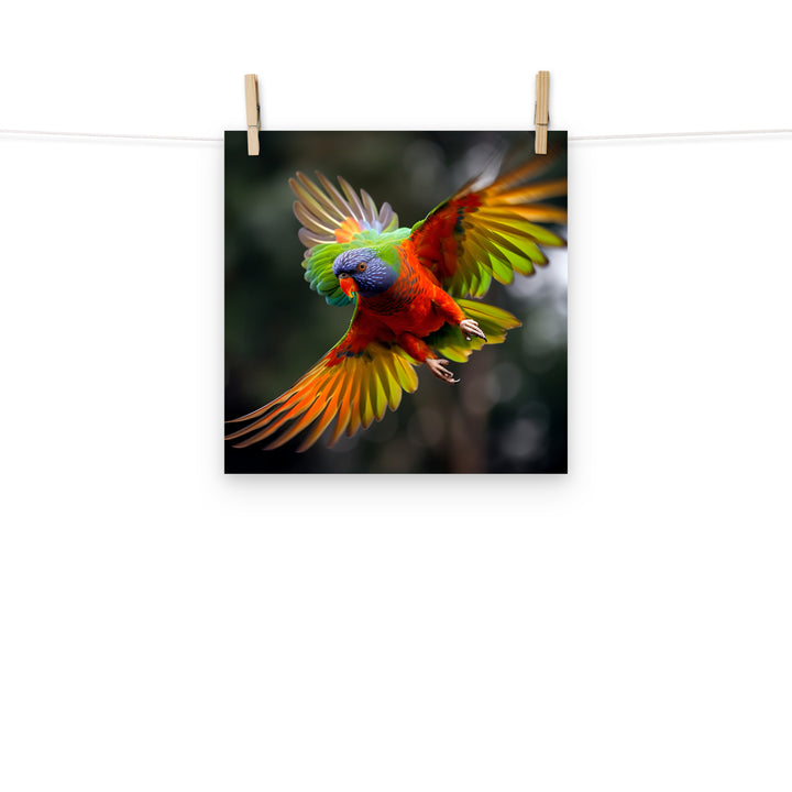 Lorikeet Photo paper poster - PosterfyAI.com