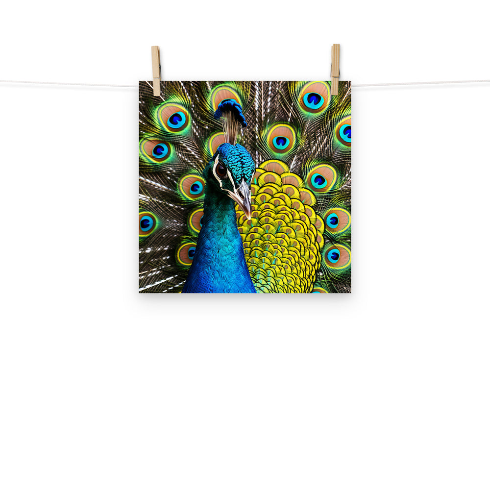 Peacock Photo paper poster - PosterfyAI.com