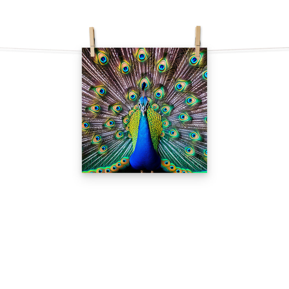 Peacock Photo paper poster - PosterfyAI.com