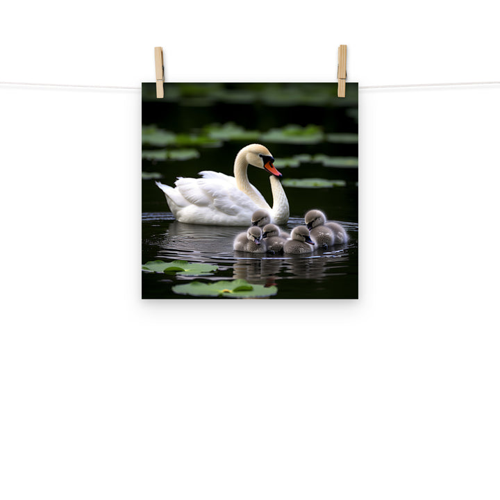 Swan Photo paper poster - PosterfyAI.com