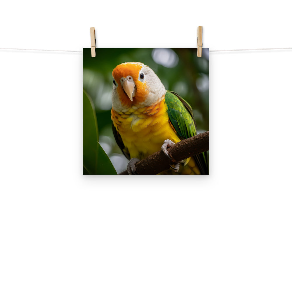 Caique Photo paper poster - PosterfyAI.com