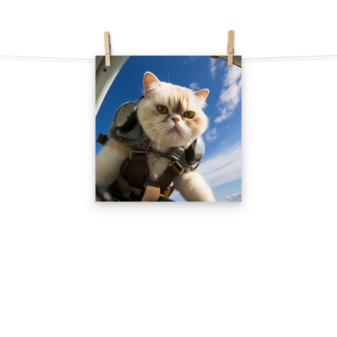 Exotic Shorthair Pilot Photo paper poster - PosterfyAI.com