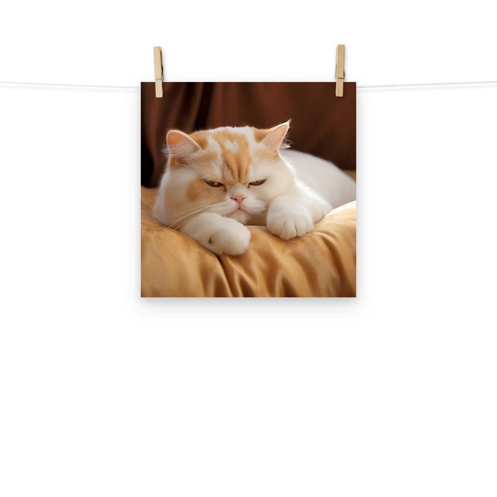 Exotic Shorthair Photo paper poster - PosterfyAI.com