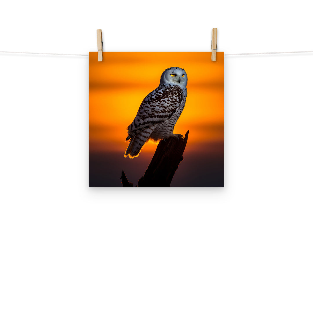 Owl Photo paper poster - PosterfyAI.com