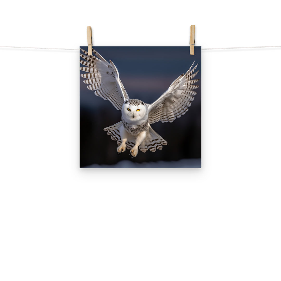 Owl Photo paper poster - PosterfyAI.com