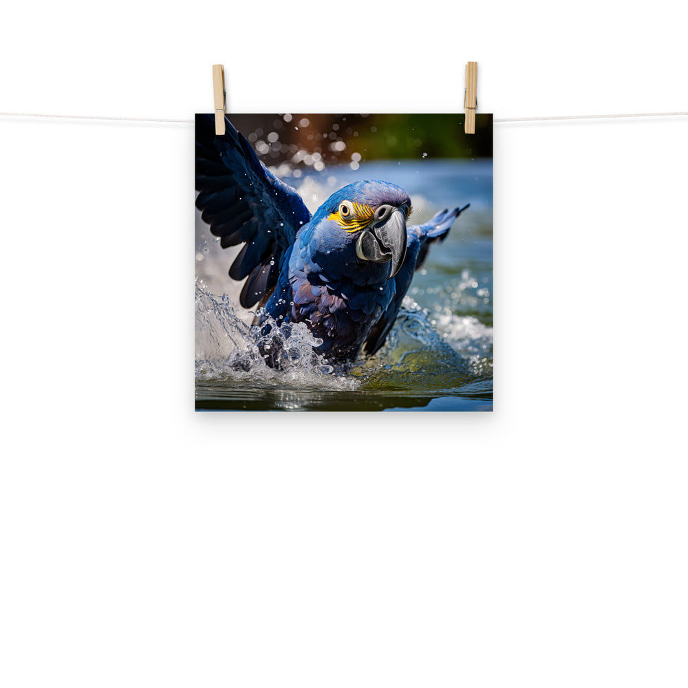 Macaw Photo paper poster - PosterfyAI.com