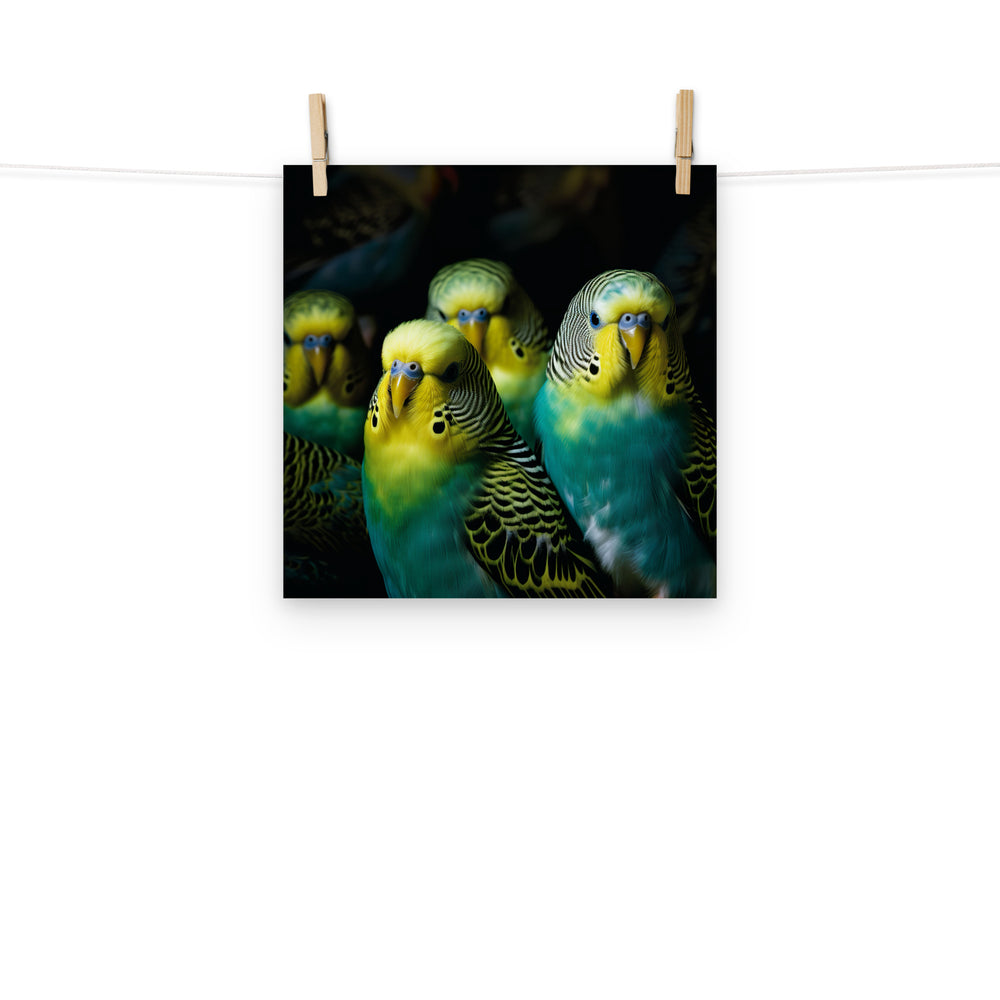 Budgerigar Photo paper poster - PosterfyAI.com