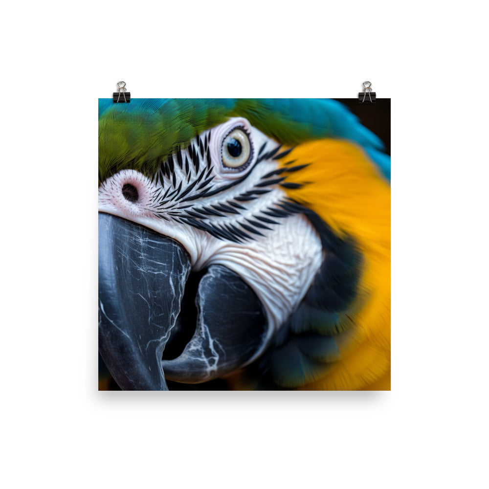 Close-up of a Blue and Gold Macaws face Photo paper poster - PosterfyAI.com