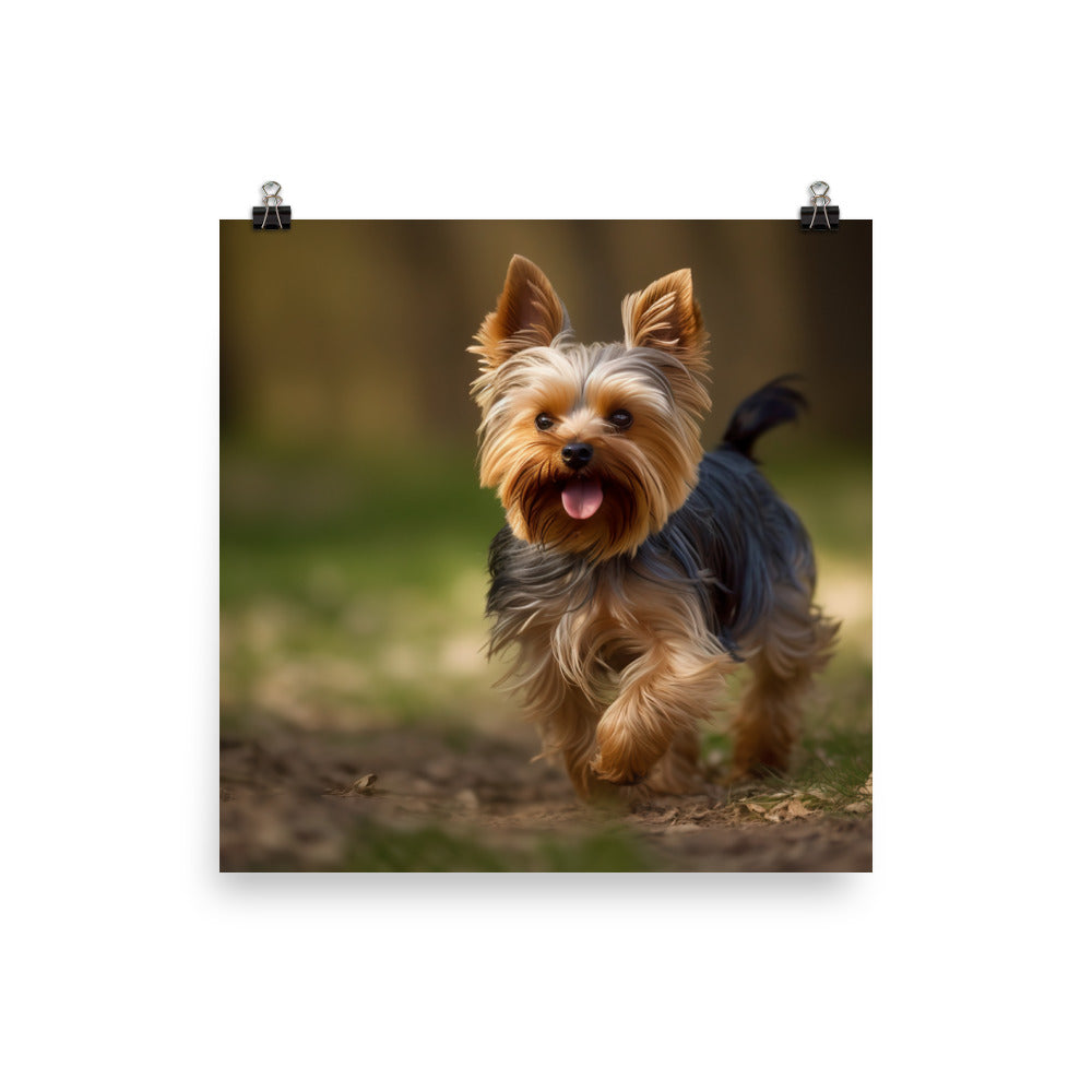Yorkshire Terrier on-the-Go Photo paper poster - PosterfyAI.com