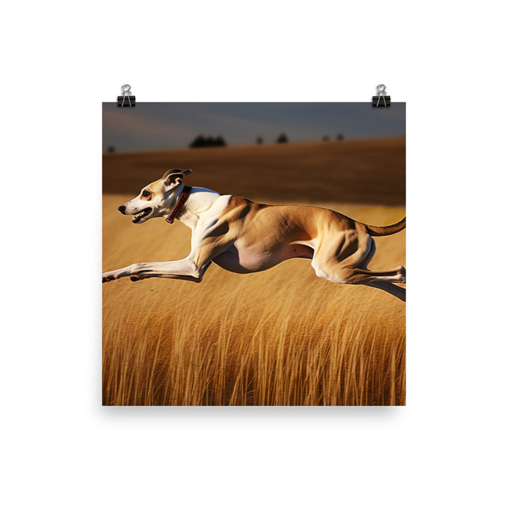 Whippet in Full Stride Photo paper poster - PosterfyAI.com